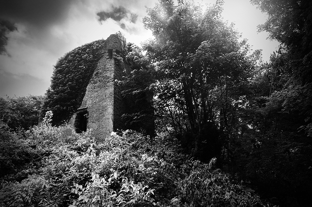 Black and white photo of the ivy covered ruines of a tower house, on a mound surrounded by trees.